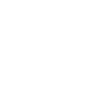 ЛСР